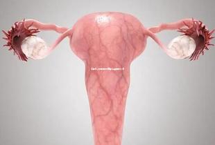 江西私人机构做试管婴儿费用表公布