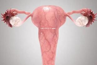 太原三代试管技术怎么样，附费用介绍！