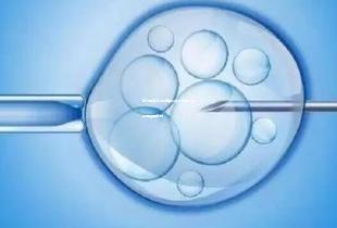 南宁做第三代试管婴儿技术分析！附详细费用情况！