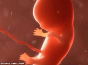 2024年河北第三代试管费用明细表分享