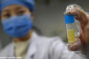 单亲做三代试管婴儿费用整理