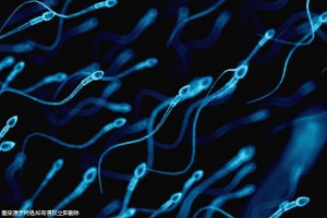 全国试管移植成功率比较好的医院哪家强-全国移植比较好的医院！