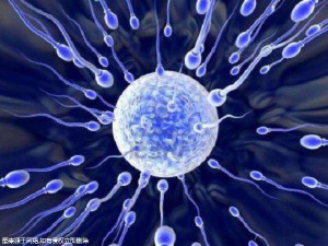 哪里是三代试管婴儿比较好最安全的地方-目前国内做第三代试管婴儿的哪家医院比较好!