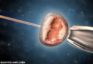 乐山比较好的医院最新排名是三代试管婴儿?乐山市哪家医院可以做试管??