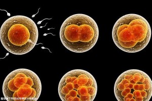 兰州第三代试管婴儿医院排名第一的是哪家(兰州做试管婴儿的全部费用大概是多少)