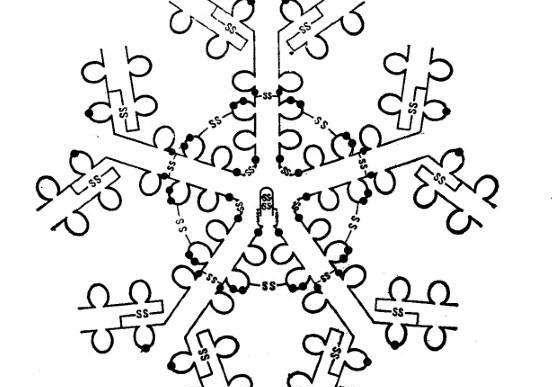 X-连锁无丙种球蛋白血症生不了男孩?怕遗传可以选三代试管