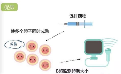 北京不孕不育医院前三名公布,附三代试管包生男孩费用分享