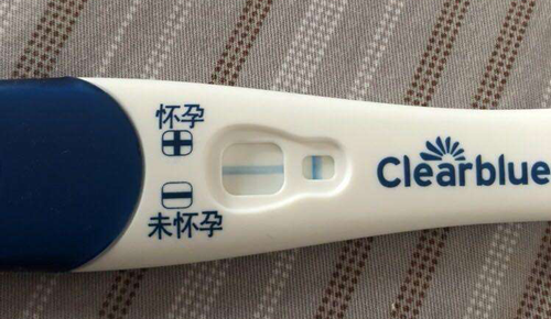 鲜胚移植成功率有多高