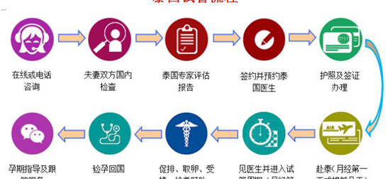 泰国试管婴儿流程