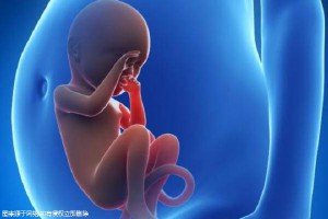 长春私人机构做试管婴儿怎么样-长春有做试管婴儿的医院吗?！