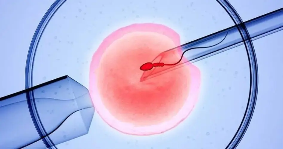 建议看完收藏!2024最新深圳三代试管包生男孩价格表