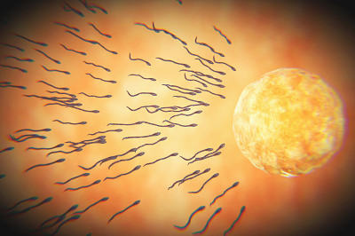 北京试管婴儿医院排名最好推荐,2024助孕机构排名已公布! 北京试管婴儿医院排名最好推荐,2024助孕机构排名已公布!