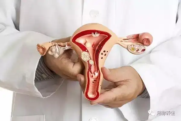 tupian28