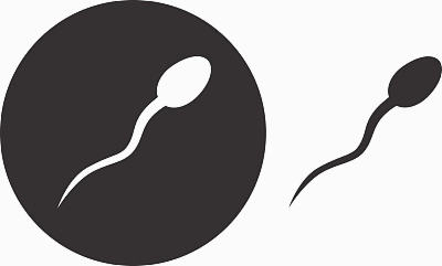 4ab囊胚质量好吗？囊胚移植着床全过程？