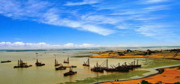 明光可以做试管婴儿吗