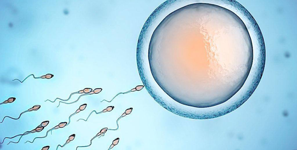 政策上可以选择性别