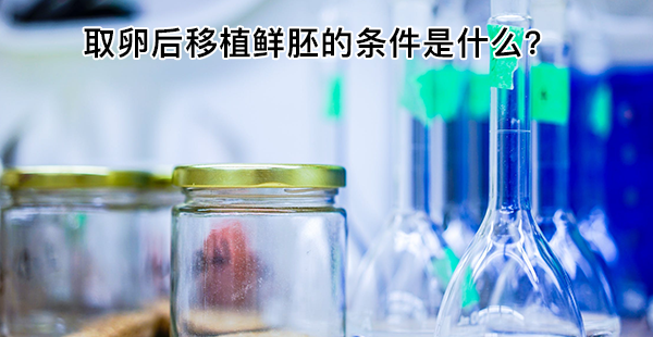 取卵后移植鲜胚的条件