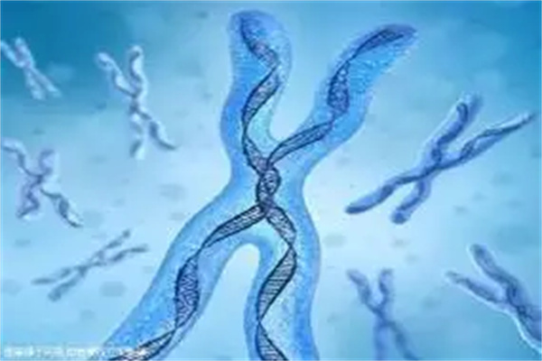 做试管婴儿老公不配合怎么样?30秒带你了解精解决方案