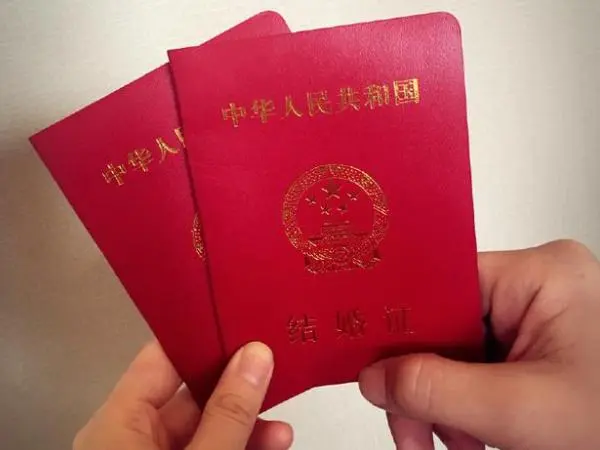 泰国十大试管服务机构排名（费用与成功率一览）