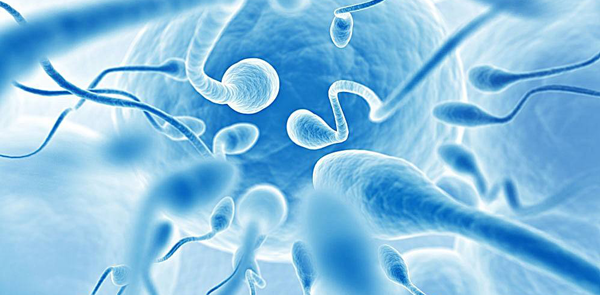 试管婴儿卵子质量的级别介绍