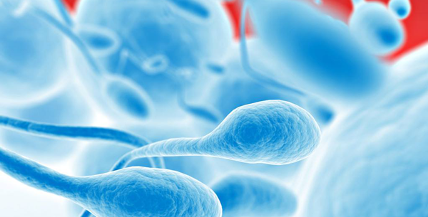 相对来说G1要比G2好一点