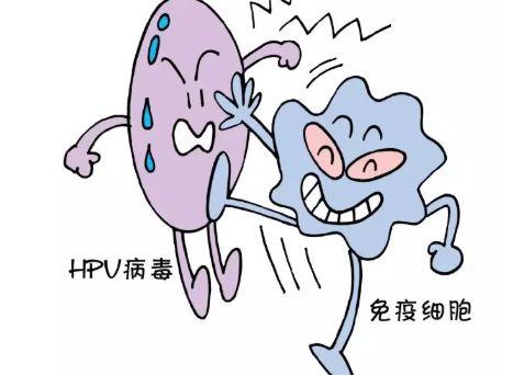 HPV阳性或自动免疫清除