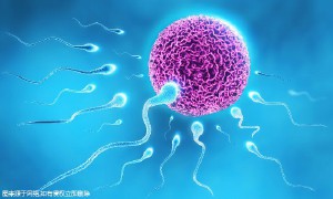 柬埔寨试管三代机构如何选择？