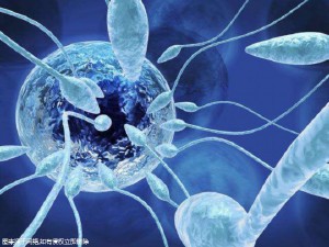 为什么试管胚胎移植前要憋尿？附费用支出明细！