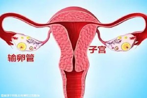 做试管婴儿促排卵会加快卵巢衰老！附具体流程步骤！