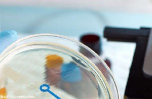 泰国推荐试管婴儿医院排名前十，附收费明细表！