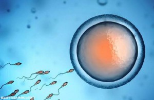 俄罗斯做三代试管婴儿技术怎么样;成功率和费用!13万绰绰有余!