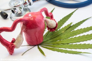 厦门助孕生宝宝的机构准备费用十万够吗