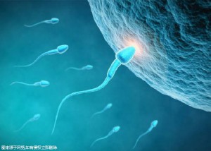 试管婴儿需要什么条件才能够做！附带省钱攻略！