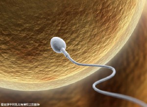 北京三代试管婴儿第三代价格公告！物超所值！