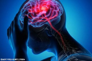 2025年单身女性去国外做试管婴儿，价格明细出炉！