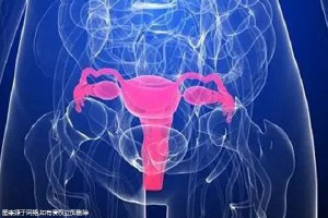 湛江三代试管婴儿收费明细清单出炉！什么步骤！