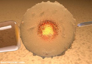 正常人做试管要多少钱,成功率多少!