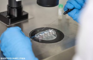 重庆试管助孕医院成功率排名榜？真实可靠！