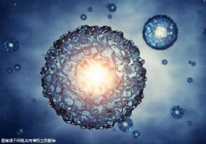 2025香港三代试管流程一览？说便宜也便宜！