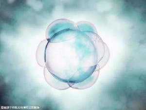 泰国试管婴儿打针要打多久？内附注意事项！