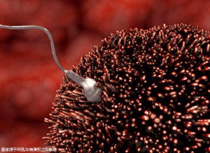 2025泰国EK国际医院第三代试管婴儿!附医院排名更新!