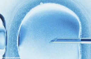 2025泰国高龄三代试管婴儿成功率解析！详细费用一览！