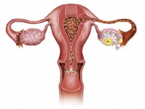 山大生殖做三代试管费用多少，怎么节省！