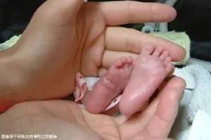 黄体期促排胚胎质量好不好，好不好快看这！