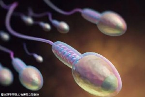 内蒙古做第三代试管多少钱！预算一目了然！