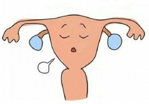 西安试管需要多少价格！附养囊费用一览！