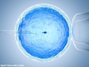 试管多少钱，一代价格最低！