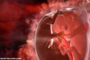 潍坊试管婴儿医院孩只要10万，但有费用补助！