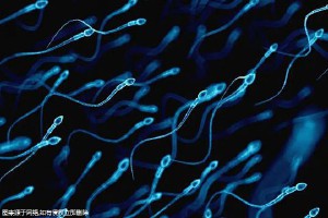 西安试管的价钱？费用大概在8！