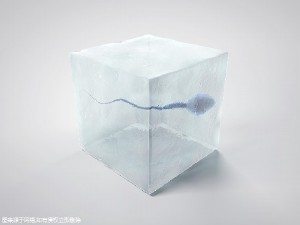 三代试管婴儿需要做无创吗，具体费用详解！